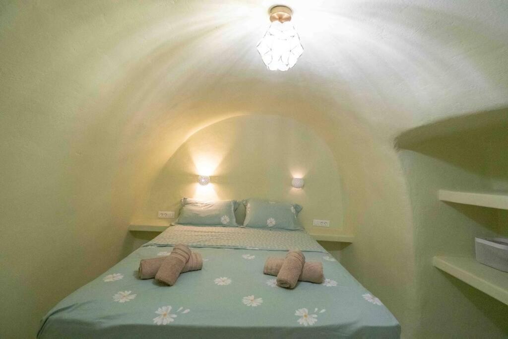 Santorini Oasis- Cave House